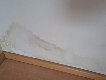 Schimmel im Sockelbereich