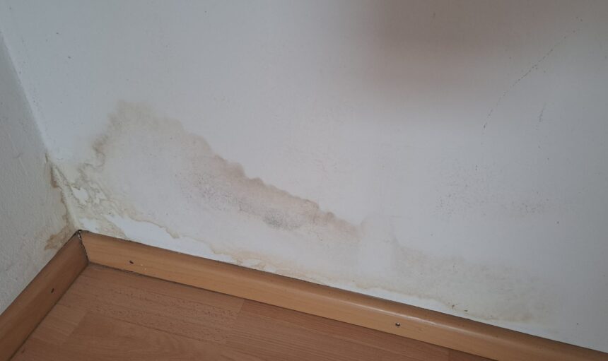 Schimmel im Sockelbereich