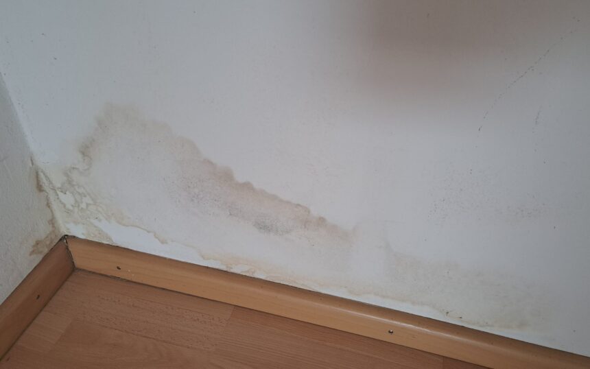 Schimmel im Sockelbereich