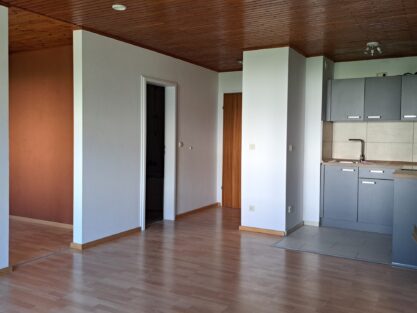 Kalkputz zur Schimmelvermeidung